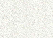 Rasch Step-Up W187101