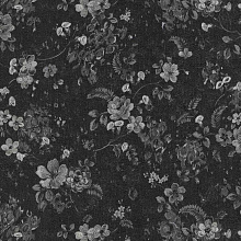 Чёрные обои с цветами Emiliana Parati Roberto Cavalli 6 17024